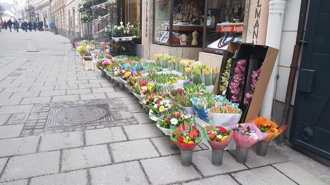 Весна в Австрии уже скоро. В Линце уже ждут новые праздники