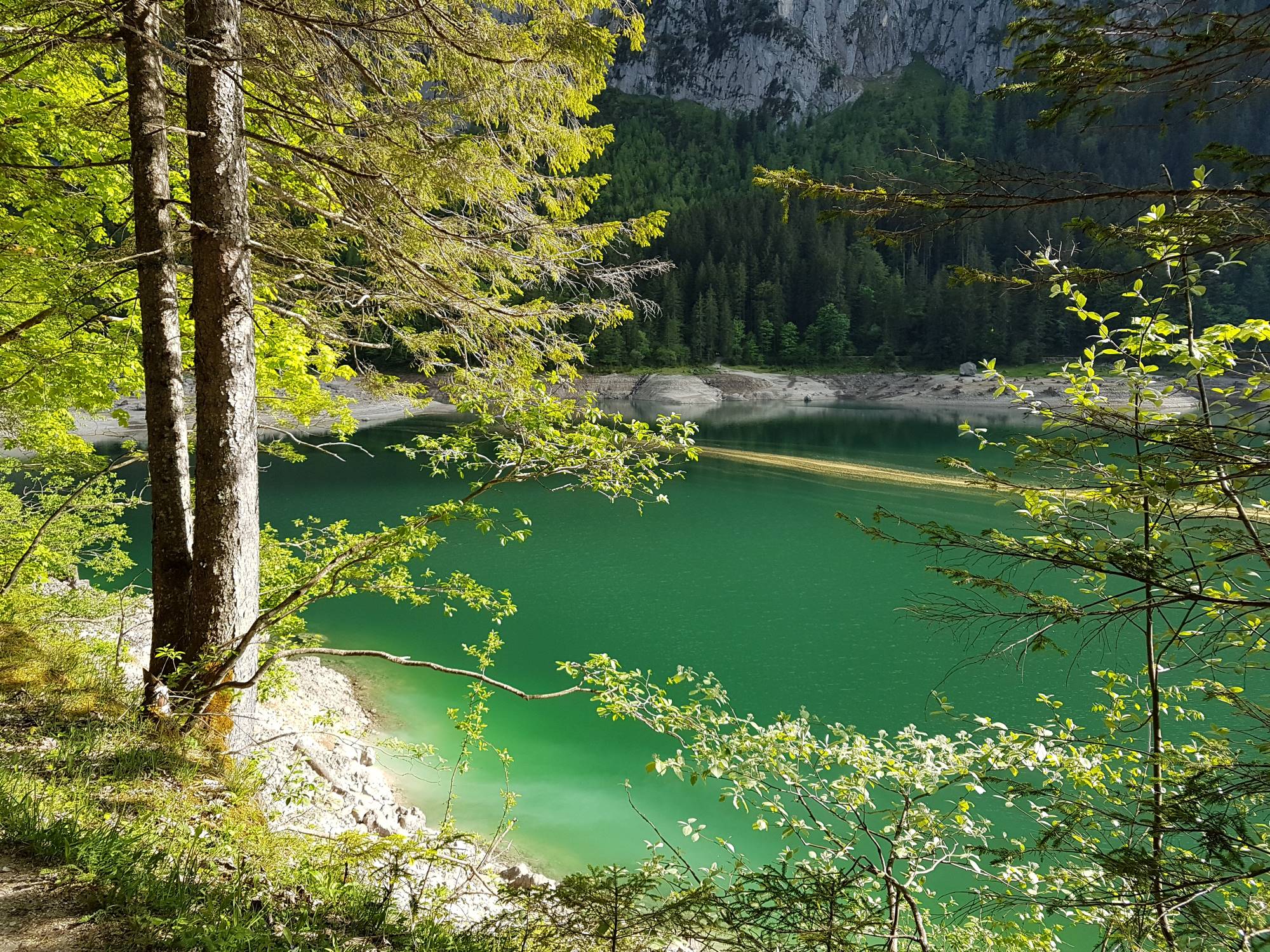 Как мы открыли для себя ледниковое озеро Vorderer Gosausee и самую высокую гору Верхней Австрии