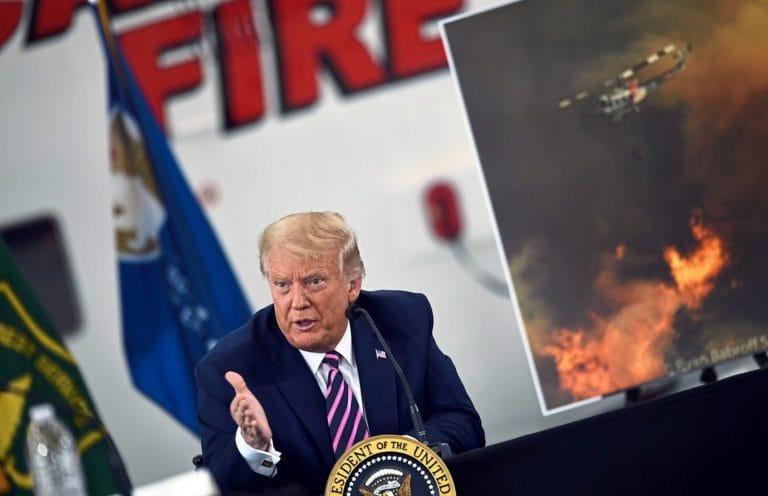 СМИ Австрии: Трамп говорит, что австрийцы живут в лесу