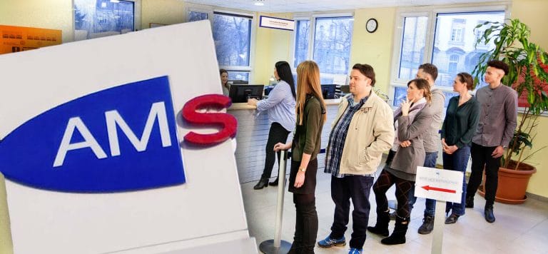 В Австрии не хотят работать за 2700 евро. Служба занятости ищет работников за границей