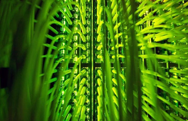 Компаниям Австрии не хватает до 10 000 ИТ-специалистов