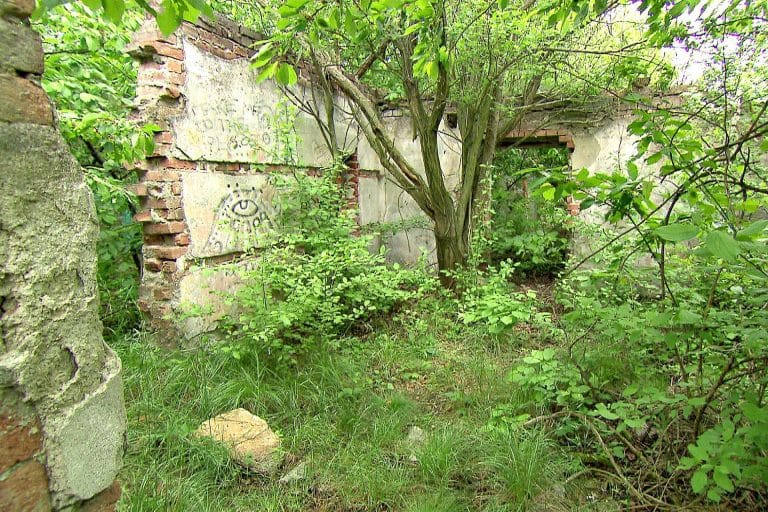 СМИ Австрии: Забытые лагеря нашей страны