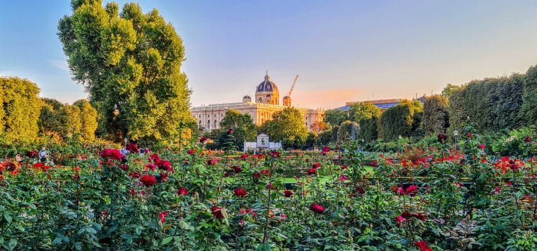 День рождения Юли — самый лучший праздник