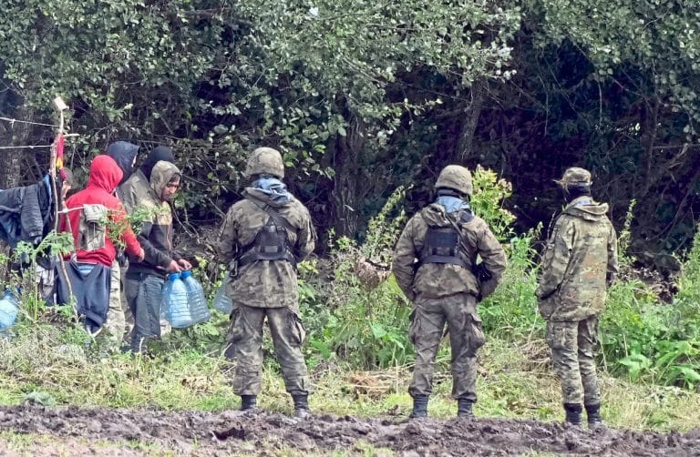 СМИ Австрии: 4246 нелегальных въездов в Германию через Беларусь за месяц