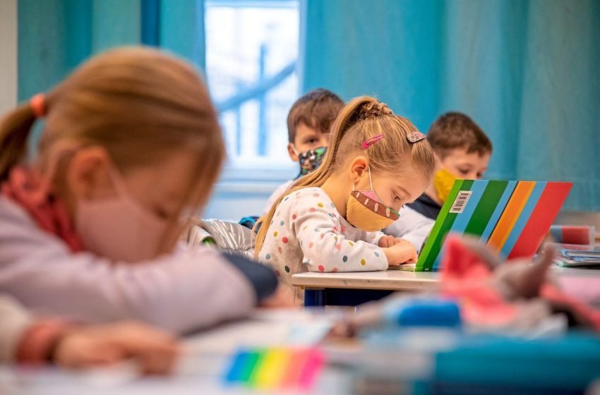  В Вене открываются классы для детей украинских беженцев