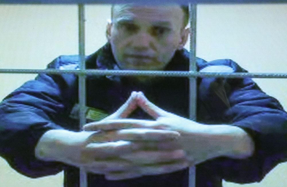 СМИ Австрии: Навальный снова заперт в одиночной камере