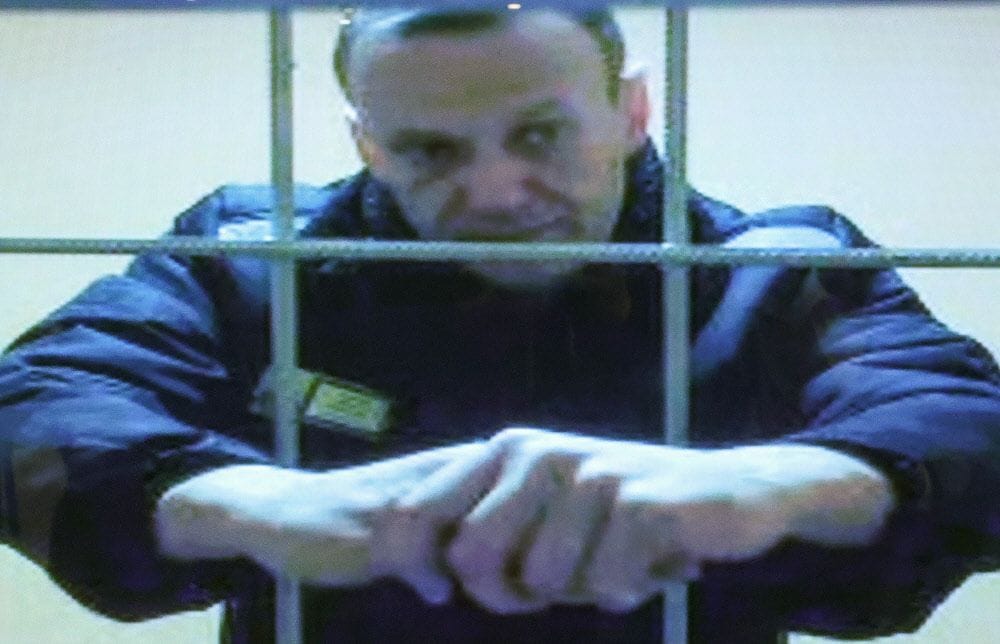 СМИ Австрии: Amnesty International —  условия содержания оппозиционера Кремля Навального незаконны