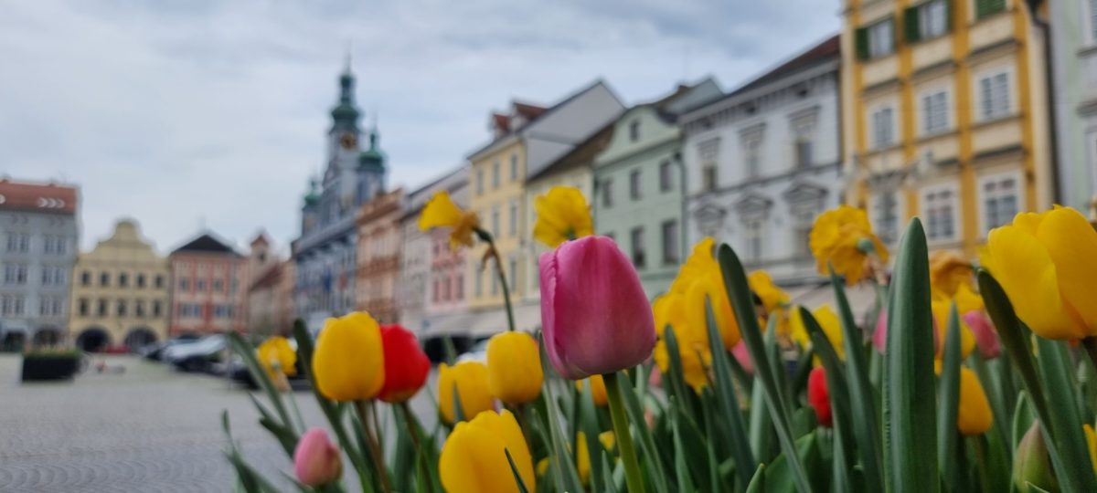 Фоторепортаж из весеннего городка Ческе-Будеёвице в 2023 году