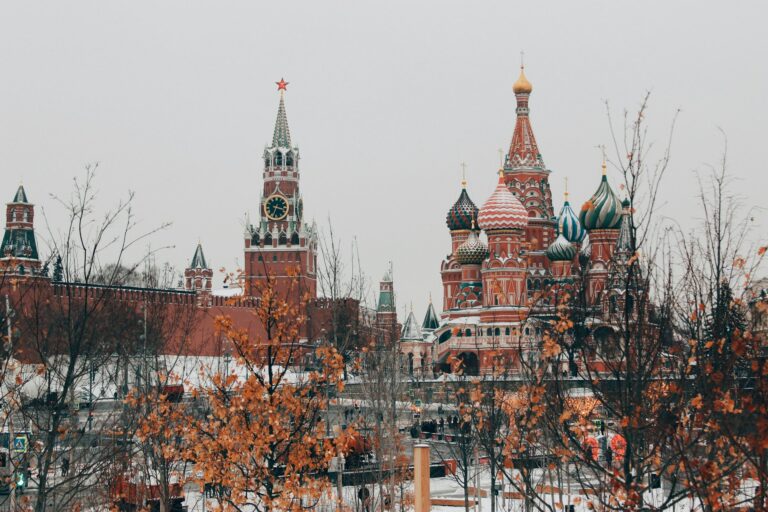 Как санкционные товары попадают в Россию