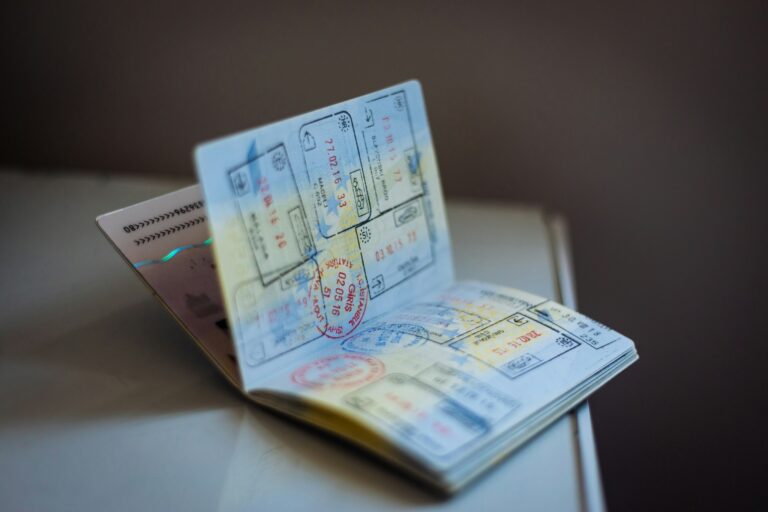 Двойное гражданство — стартовала парламентская инициатива граждан