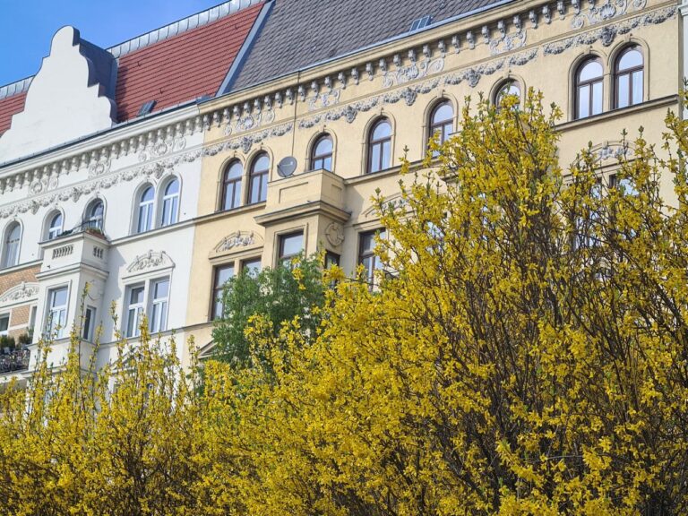 Цены на квартиры и дома в Вене упали