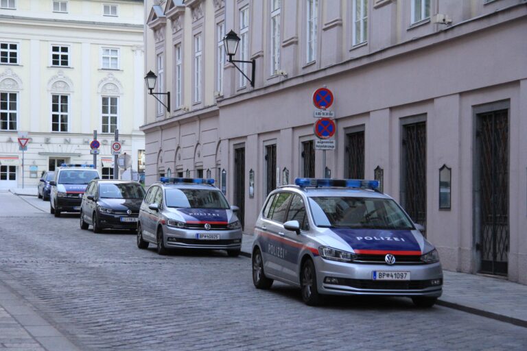 В Нижней Австрии полиция изъяла оружие и предметы с нацистской символикой