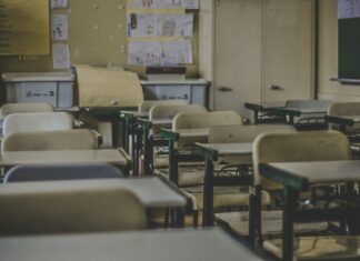 В этом году было в Австрии подано почти 13 000 заявок на 6500 учительских вакансий