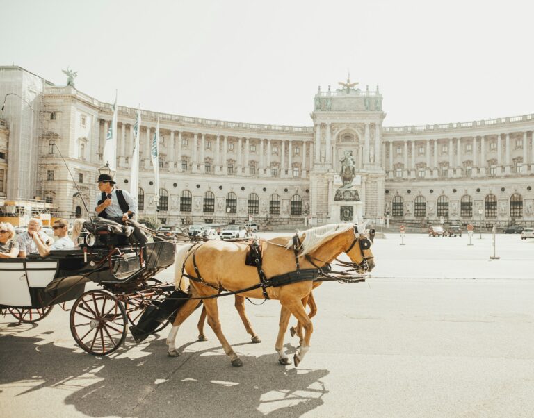 Photo by Sandro Gonzalez on Unsplash
