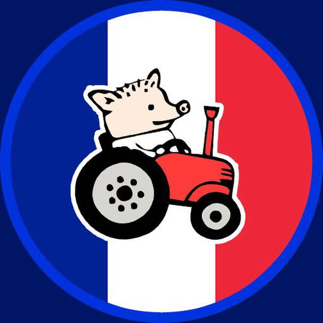 Чат Франция — C’est la France