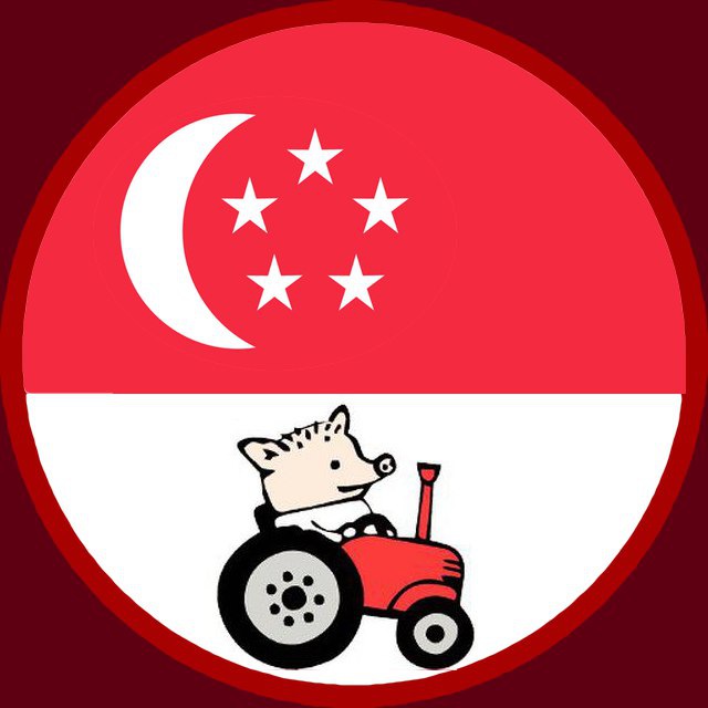 Чат Сингапур — Singapore