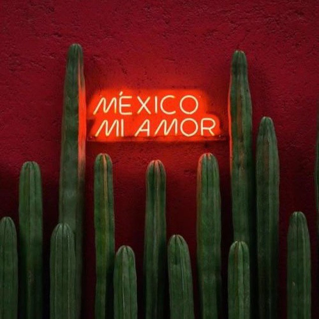 МЕКСИКА 🇲🇽 DOS TACOS