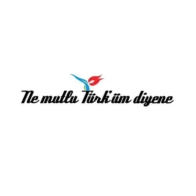 The Turkish Times